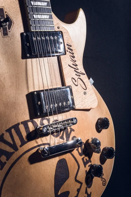 05022020-ADONIS Guitare_matpix studio5