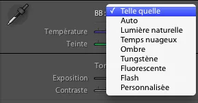 balancedesblancs-lightroom