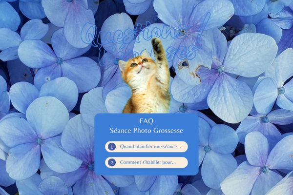 Pourquoi faire des photos de grossesse – Photographe Rouen