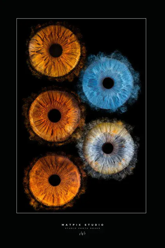 img-photo-iris-cinco-photographe-rouen-matpix studio