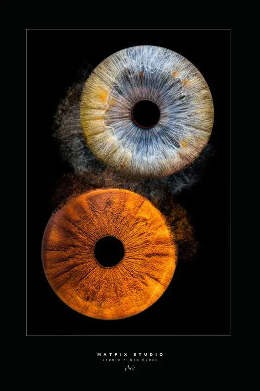 img-photo-iris-duo effet2-photographe-rouen-matpix studio