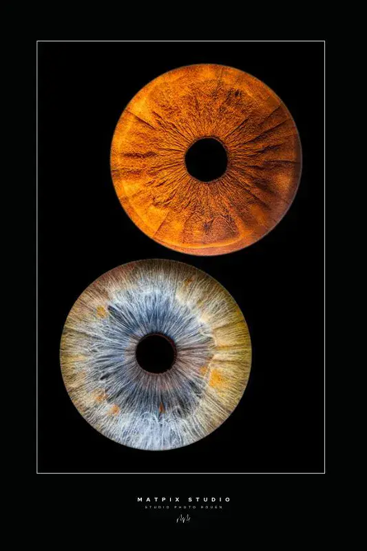 img-photo-iris-duo-photographe-rouen-matpix studio