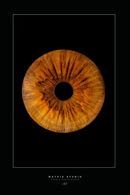 img-photo-iris-solo-photographe-rouen-matpix studio