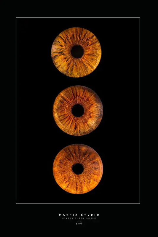 img-photo-iris-trio-photographe-rouen-matpix studio